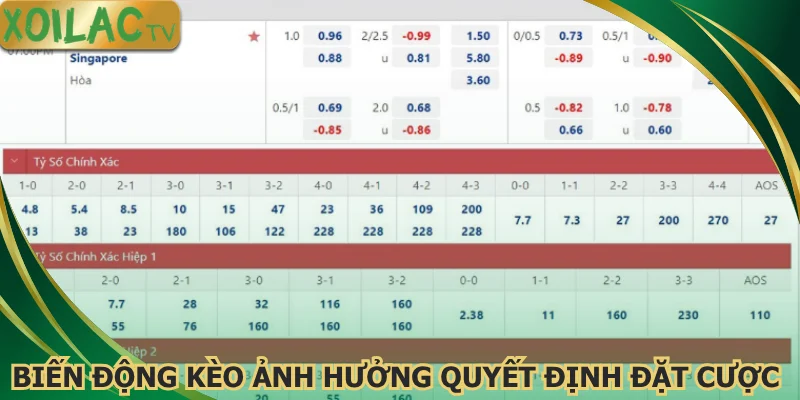 bien-dong-keo-anh-huong-quyet-dinh-dat-cuoc