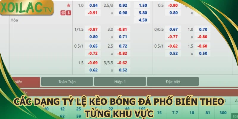 cac-dang-ty-le-keo-bong-da-pho-bien-theo-tung-khu-vuc