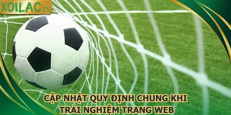 cap-nhat-quy-dinh-chung-khi-trai-nghiem-trang-web