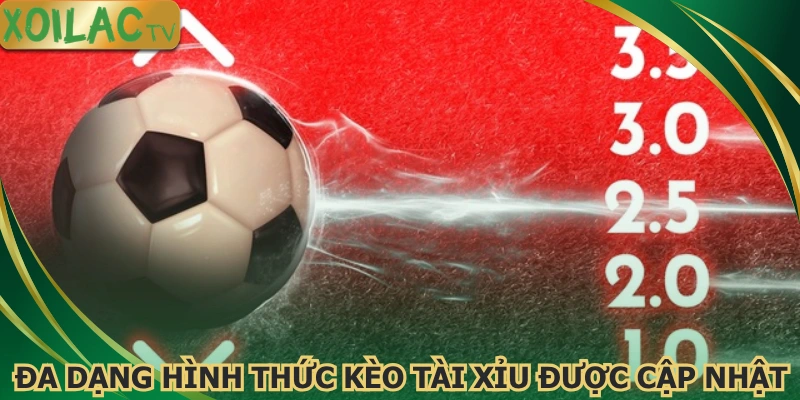 da-dang-hinh-thuc-keo-tai-xiu-duoc-cap-nhat