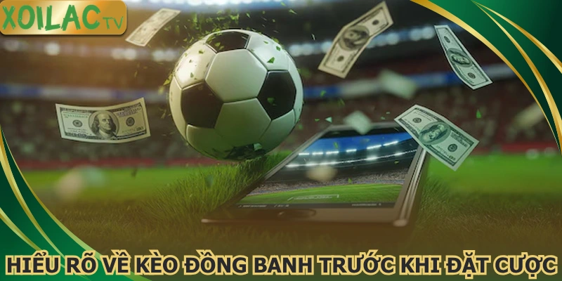 hieu-ro-ve-keo-dong-banh-truoc-khi-dat-cuoc