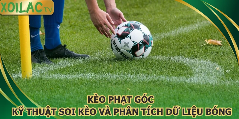 keo-phat-goc-ky-thuat-soi-keo-va-phan-tich-du-lieu-bong