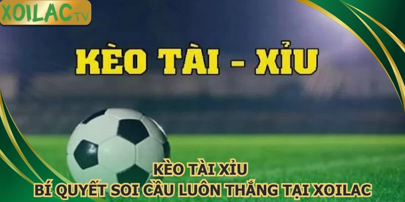 keo-tai-xiu-bi-quyet-soi-cau-luon-thang-tai-xoilac