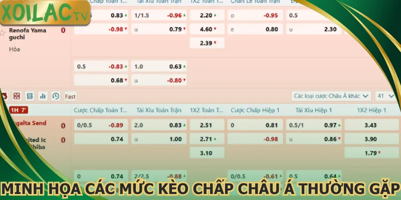 minh-hoa-cac-muc-keo-chap-chau-a-thuong-gap