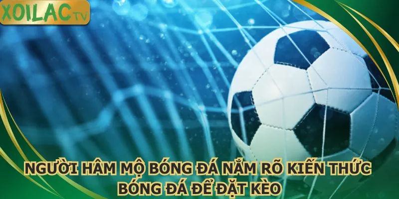 nguoi-ham-mo-bong-da-nam-ro-kien-thuc-bong-da-de-dat-keo