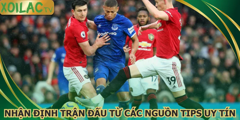 nhan-dinh-tran-dau-tu-cac-nguon-tips-uy-tin