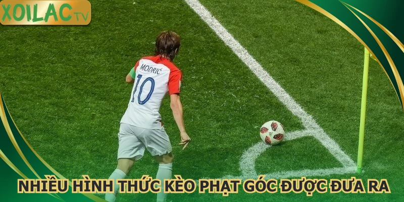 nhieu-hinh-thuc-keo-phat-goc-duoc-dua-ra