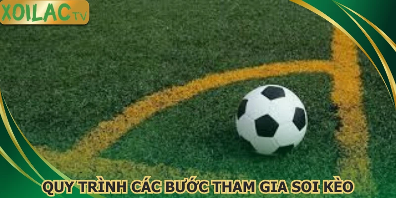 quy-trinh-cac-buoc-tham-gia-soi-keo