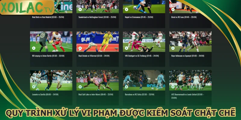 quy-trinh-xu-ly-vi-pham-duoc-kiem-soat-chat-che