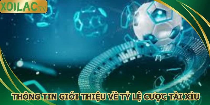 tim-hieu-thong-tin-gioi-thieu-ve-ty-le-cuoc-tai-xiu