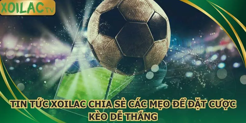 tin-tuc-xoilac-chia-se-cac-meo-de-dat-cuoc-keo-de-thang