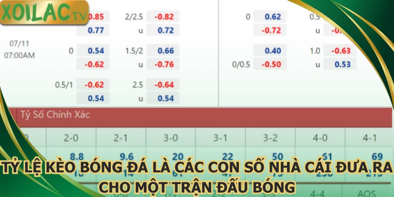 ty-le-keo-bong-da-la-cac-con-so-nha-cai-dua-ra-cho-mot-tran-dau-bong