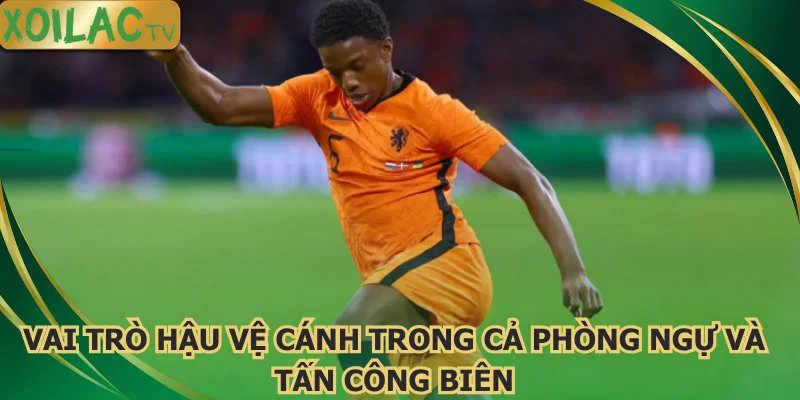 vai-tro-hau-ve-canh-trong-ca-phong-ngu-va-tan-cong-bien