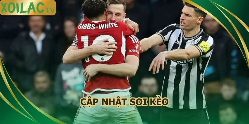 cap-nhat-soi-keo-nottingham-forest-vs-newcastle