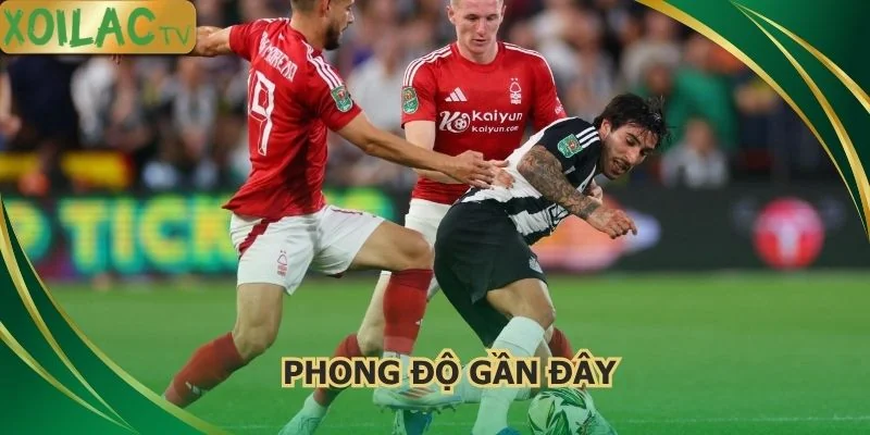 phong-do-gan-day-nottingham-forest-vs-newcastle