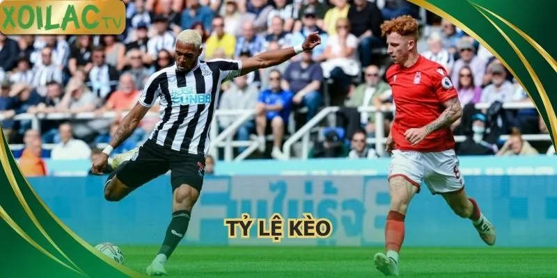 ty-le-keo-nottingham-forest-vs-newcastle